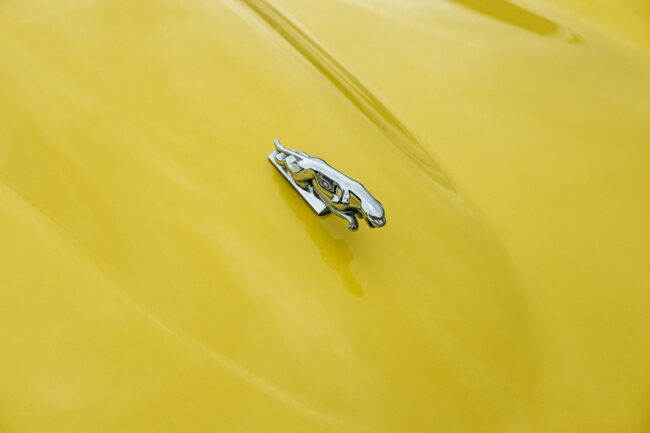 Florian Schneider Creative Director Fullframecar Jaguar E Type